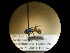  ( - CCDB-05715-G08)  @11 [ ] Copyright  G. Blagoev 2010 Unspecified