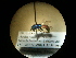  ( - CCDB-05715-G09)  @11 [ ] Copyright  G. Blagoev 2010 Unspecified