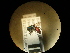  (Chrysura dichroa - CCDB-05715-G11)  @13 [ ] Copyright  G. Blagoev 2010 Unspecified