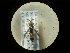  ( - CCDB-05716-A01)  @12 [ ] Copyright  G. Blagoev 2010 Unspecified