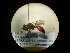  ( - CCDB-05716-A02)  @12 [ ] Copyright  G. Blagoev 2010 Unspecified