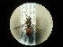  ( - CCDB-05716-A03)  @12 [ ] Copyright  G. Blagoev 2010 Unspecified
