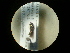  ( - CCDB-05716-C05)  @12 [ ] Copyright  G. Blagoev 2010 Unspecified