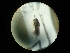  ( - CCDB-05716-C08)  @12 [ ] Copyright  G. Blagoev 2010 Unspecified