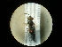  ( - CCDB-05716-D05)  @12 [ ] Copyright  G. Blagoev 2010 Unspecified