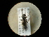  ( - CCDB-05716-E10)  @12 [ ] Copyright  G. Blagoev 2010 Unspecified