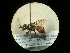  ( - CCDB-05716-F01)  @13 [ ] Copyright  G. Blagoev 2010 Unspecified