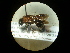  ( - CCDB-05716-F03)  @11 [ ] Copyright  G. Blagoev 2010 Unspecified