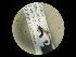  ( - CCDB-05716-H06)  @13 [ ] Copyright  G. Blagoev 2010 Unspecified