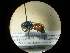  ( - CCDB-05795-D06)  @11 [ ] Copyright  G. Blagoev 2010 Unspecified