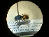  ( - CCDB-05795-D09)  @11 [ ] Copyright  G. Blagoev 2010 Unspecified
