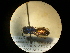  ( - CCDB-05795-D10)  @11 [ ] Copyright  G. Blagoev 2010 Unspecified