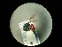  ( - CCDB-05795-G07)  @13 [ ] Copyright  G. Blagoev 2010 Unspecified