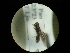  ( - CCDB-05798-A06)  @12 [ ] Copyright  G. Blagoev 2010 Unspecified