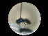  ( - CCDB-05798-B10)  @13 [ ] Copyright  G. Blagoev 2010 Unspecified
