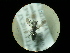  ( - CCDB-05798-D05)  @12 [ ] Copyright  G. Blagoev 2010 Unspecified