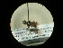  ( - CCDB-05798-D08)  @12 [ ] Copyright  G. Blagoev 2010 Unspecified