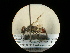  ( - CCDB-05798-E03)  @13 [ ] Copyright  G. Blagoev 2010 Unspecified