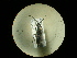  ( - CCDB-05798-E09)  @12 [ ] Copyright  G. Blagoev 2010 Unspecified