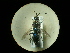  ( - CCDB-05798-E10)  @12 [ ] Copyright  G. Blagoev 2010 Unspecified