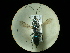  ( - CCDB-05798-E12)  @11 [ ] Copyright  G. Blagoev 2010 Unspecified