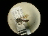  ( - CCDB-05798-F10)  @11 [ ] Copyright  G. Blagoev 2010 Unspecified