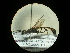  ( - CCDB-05798-G08)  @12 [ ] Copyright  G. Blagoev 2010 Unspecified