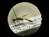  ( - CCDB-05798-G10)  @12 [ ] Copyright  G. Blagoev 2010 Unspecified