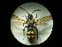  ( - CCDB-05798-H03)  @12 [ ] Copyright  G. Blagoev 2010 Unspecified