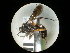  ( - CCDB-05798-H06)  @11 [ ] Copyright  G. Blagoev 2010 Unspecified
