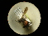  ( - CCDB-05798-H09)  @11 [ ] Copyright  G. Blagoev 2010 Unspecified