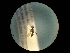  ( - CCDB-06434-B10)  @12 [ ] CreativeCommons - Attribution (2010) Gergin Blagoev, Centre for Biodiversity Genomics Centre for Biodiversity Genomics
