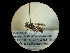  ( - CCDB-09752-B01)  @12 [ ] Copyright  G. Blagoev 2010 Unspecified