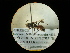  ( - CCDB-09752-B02)  @12 [ ] Copyright  G. Blagoev 2010 Unspecified