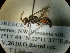  ( - CCDB-09752-B09)  @12 [ ] Copyright  G. Blagoev 2010 Unspecified