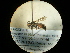  ( - CCDB-09752-G01)  @12 [ ] Copyright  G. Blagoev 2010 Unspecified