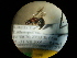  ( - CCDB-09752-H09)  @11 [ ] Copyright  G. Blagoev 2010 Unspecified