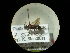  ( - CCDB-09753-E06)  @11 [ ] Copyright  G. Blagoev 2010 Unspecified