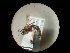  ( - CCDB-09753-H02)  @11 [ ] Copyright  G. Blagoev 2010 Unspecified