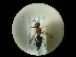  ( - CCDB-09783-B08)  @11 [ ] Copyright  G. Blagoev 2010 Unspecified