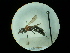  ( - CCDB-09783-B09)  @11 [ ] Copyright  G. Blagoev 2010 Unspecified