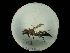  ( - CCDB-09783-B10)  @11 [ ] Copyright  G. Blagoev 2010 Unspecified