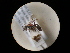  ( - CCDB-09783-C01)  @11 [ ] Copyright  G. Blagoev 2010 Unspecified