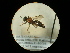  ( - CCDB-09783-C04)  @11 [ ] Copyright  G. Blagoev 2010 Unspecified