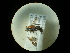  ( - CCDB-09783-C05)  @11 [ ] Copyright  G. Blagoev 2010 Unspecified