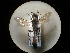  ( - CCDB-09784-F09)  @13 [ ] Copyright  G. Blagoev 2010 Unspecified
