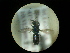 ( - CCDB-09785-A02)  @13 [ ] Copyright  G. Blagoev 2010 Unspecified
