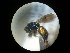  ( - CCDB-09785-B12)  @11 [ ] Copyright  G. Blagoev 2010 Unspecified