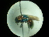  ( - CCDB-09785-C09)  @11 [ ] Copyright  G. Blagoev 2010 Unspecified