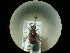  ( - CCDB-09785-D07)  @12 [ ] Copyright  G. Blagoev 2010 Unspecified